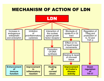 Screen Shot 2018-05-03 at 1.49.50 PM